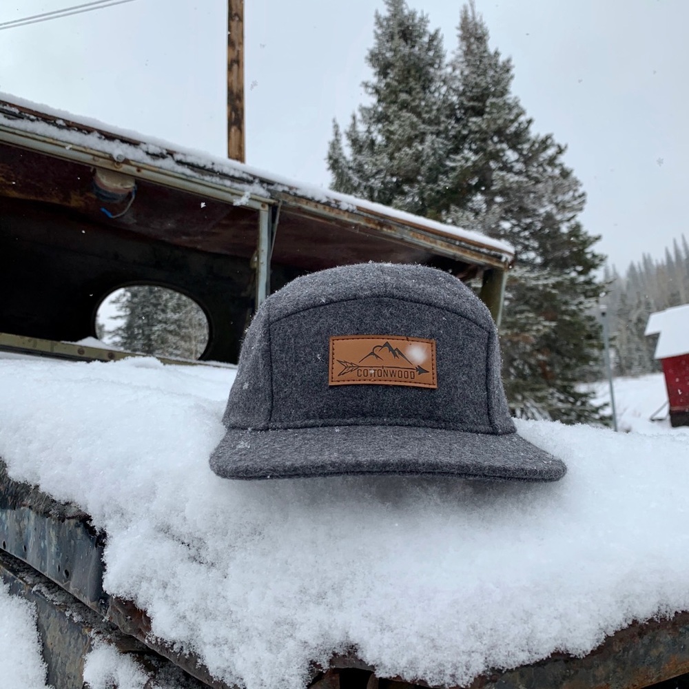 COPY - 5 panel by Cottonwoodslc